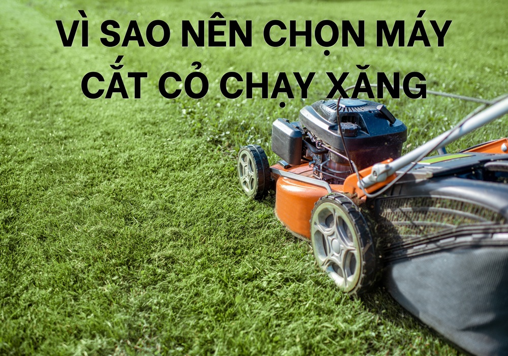 vì sao nên chọn máy cắt cỏ chạy xăng?