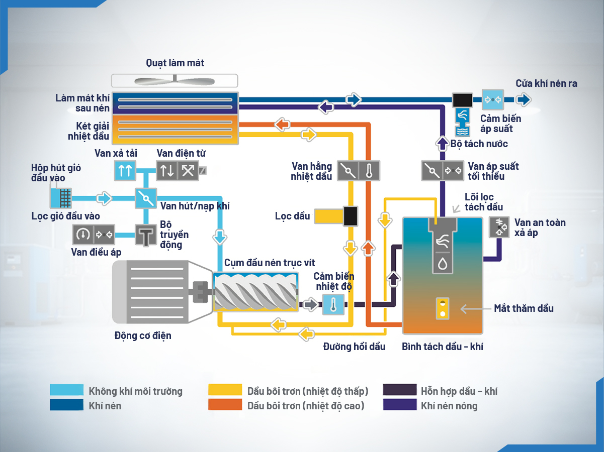 sơ đồ tuần hoàn dầu và khí trong máy nén khí trục vít