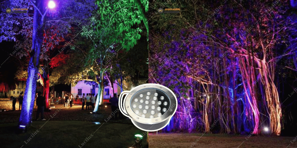 Đèn led âm đất chiếu cây đổi màu