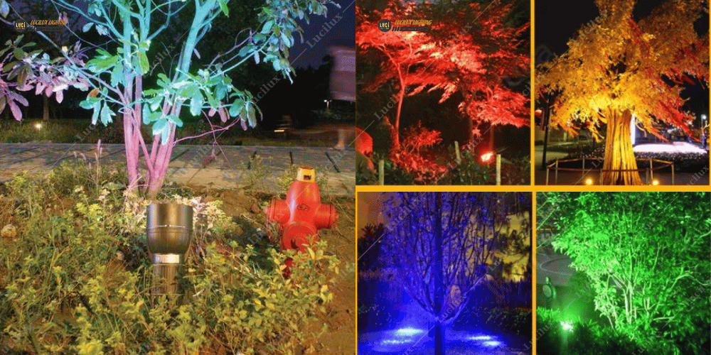 đèn hắt cây, đèn rọi cây, đổi màu