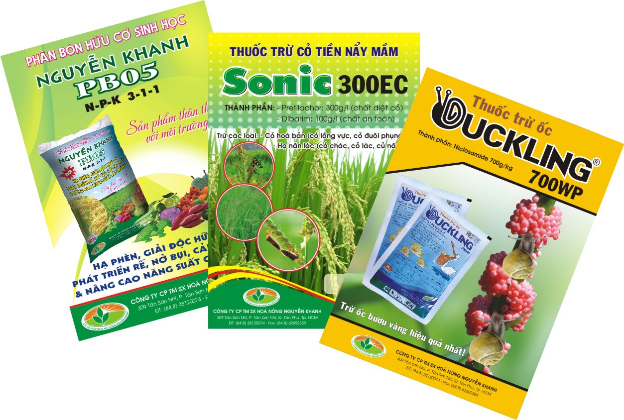 thiet ke to roi theo yeu cau