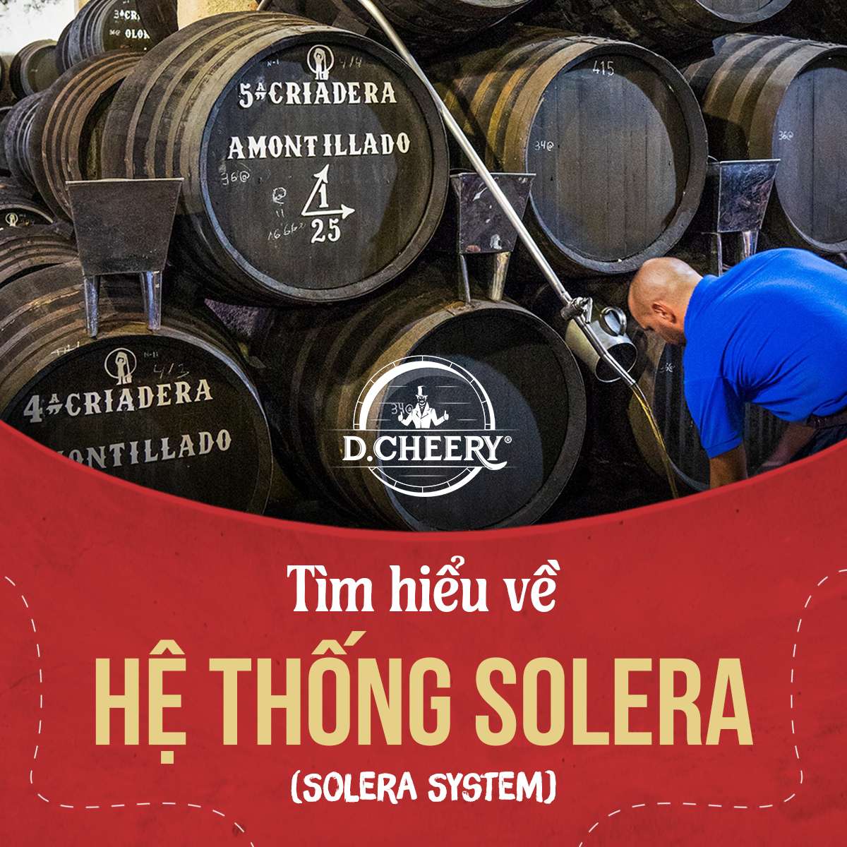Hệ thống solera