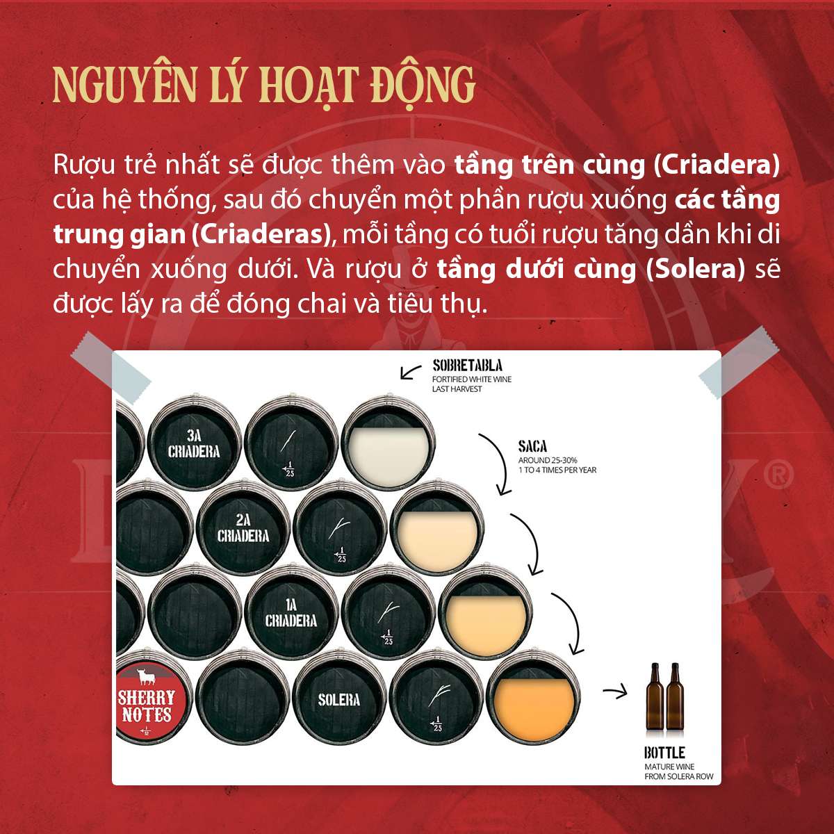 Nguyên lý hoạt động của hệ thống solera