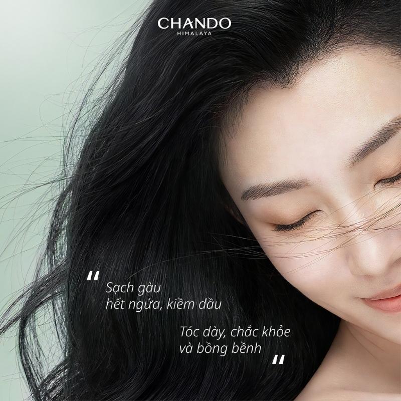 Dầu Gội Đầu Kiểm Soát Dầu, Làm Phồng Tóc Chando Himalaya Oil Control & Volumizing 600ml