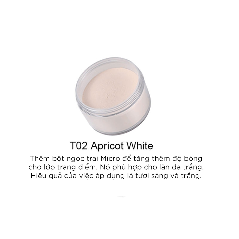 Phấn Phủ Trang Điểm Kiểm Soát Dầu Artmiss Transparent Matte Powder