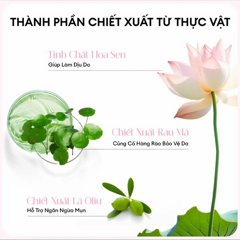 Sữa Rửa Mặt Đất Sét Sáng Da Hoa Sen Colorkey Luminous Lotus Brightening Clay Cleanser 100g