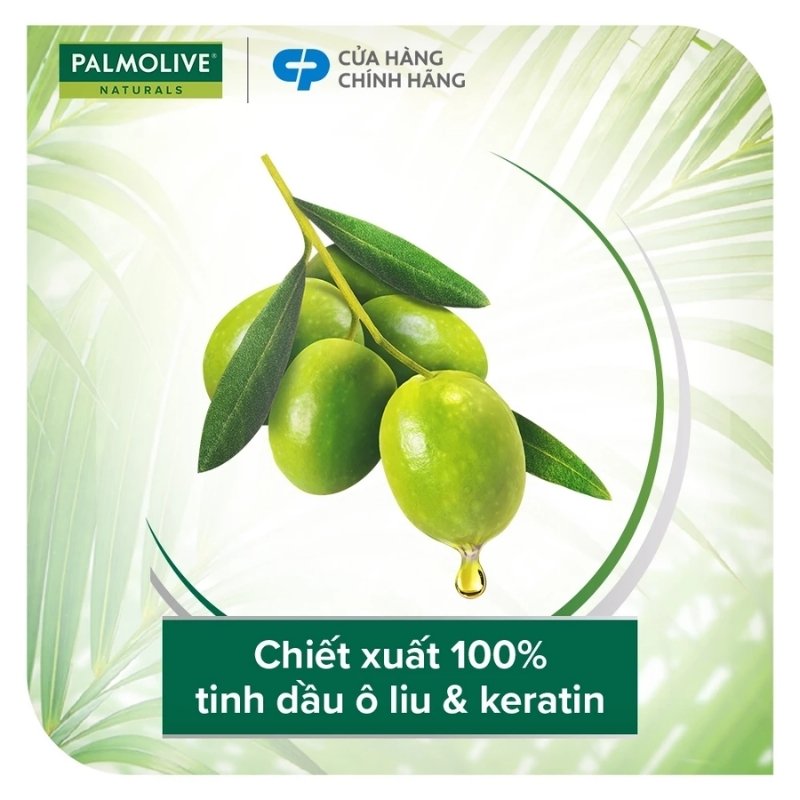 Dầu Gội Kèm Dầu Xả 2in1 Palmolive 600ml