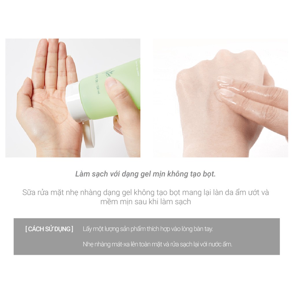 Sữa Rửa Mặt Innisfree Green Tea Morning Cleanser 150ml