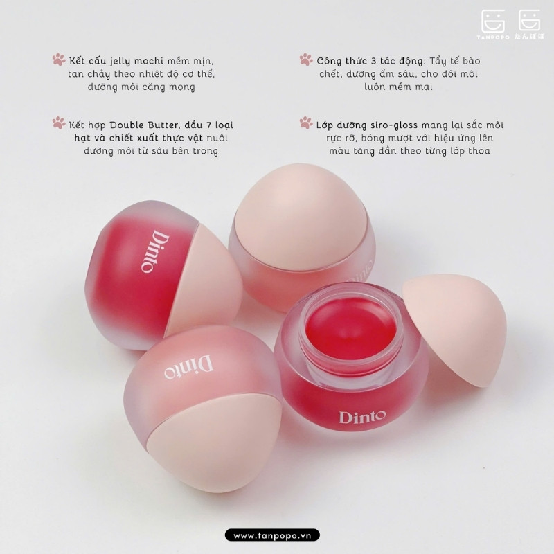 Mặt Nạ Môi Có Màu Dinto Chubby Mocchi Jelly Paw Paw Lip Mask 10g