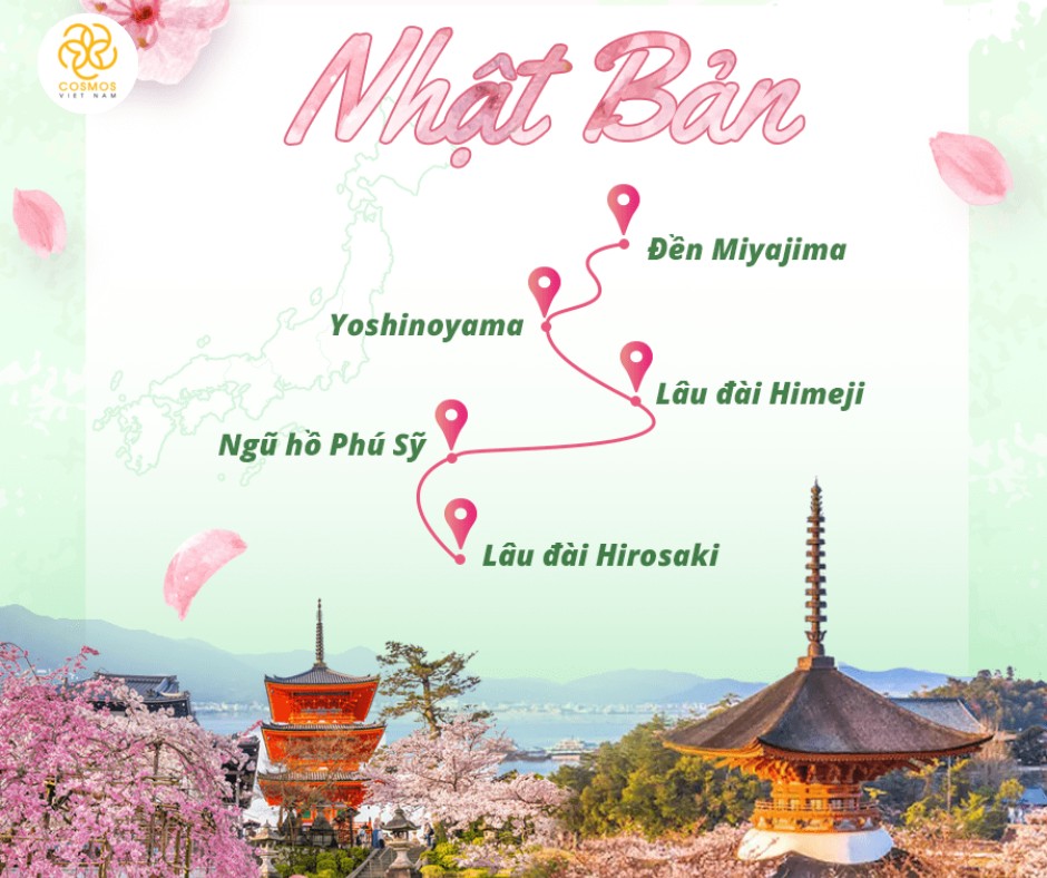 [HOA ANH ĐÀO- 4N4Đ] NHẬT BẢN: TOKYO - YAMANASHI - NÚI PHÚ SĨ - SAITAMA | BAY VIETJET