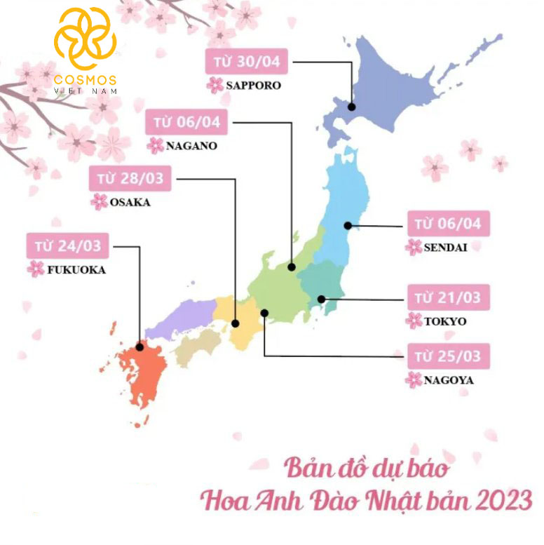 🌸 DỰ BÁO LỊCH THƯỞNG LÃM HOA ANH ĐÀO NHẬT BẢN 2023 🌸