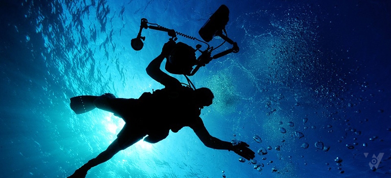 Máy ảnh có tính năng Waterproof cho phép tác nghiệp dưới nước