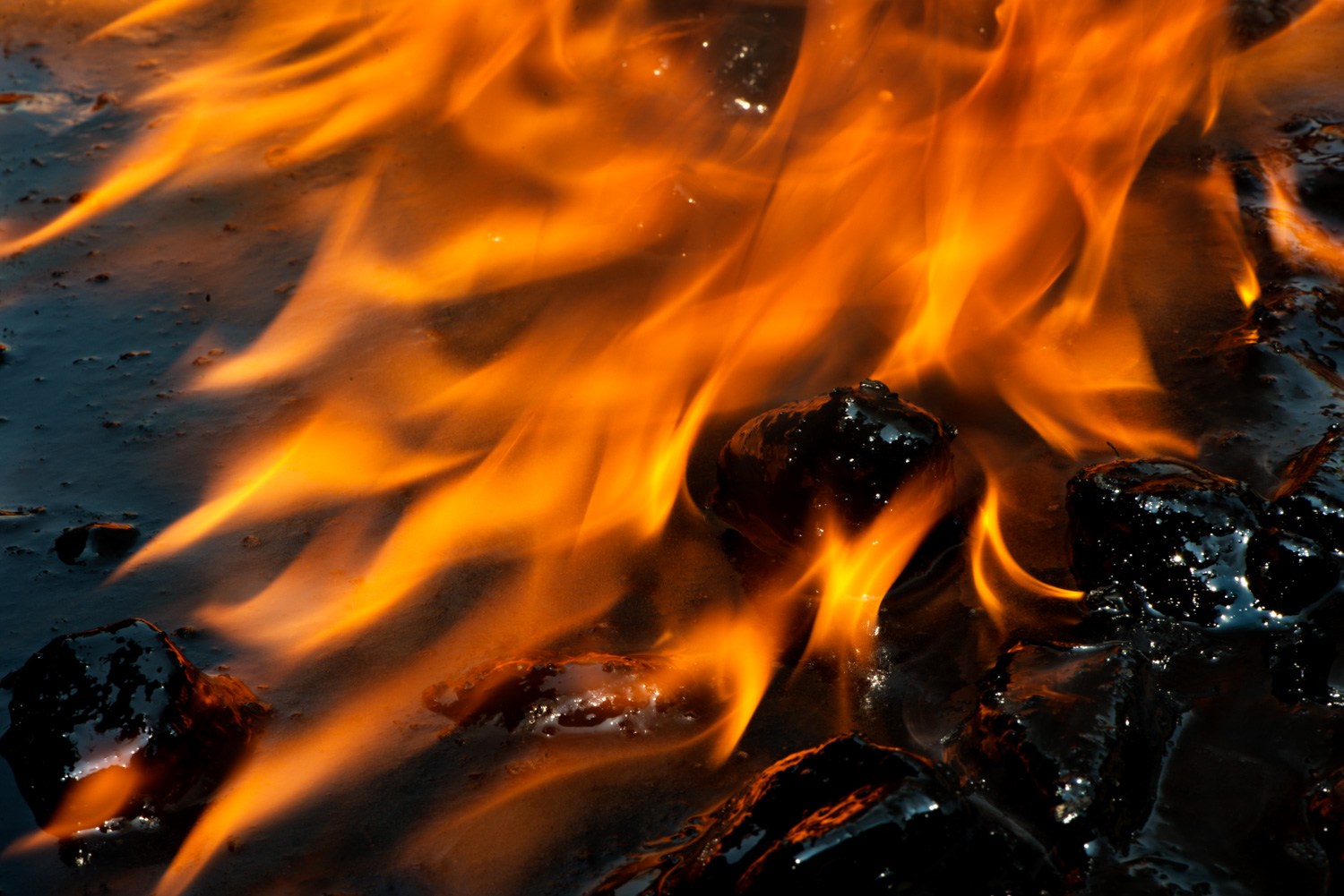 Giữ độ ổn định của máy ảnh