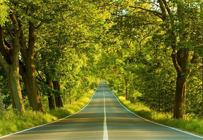 1 bức ảnh chụp phong cảnh với độ sâu trường ảnh lớn