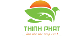 Bao bì xanh Thịnh Phát