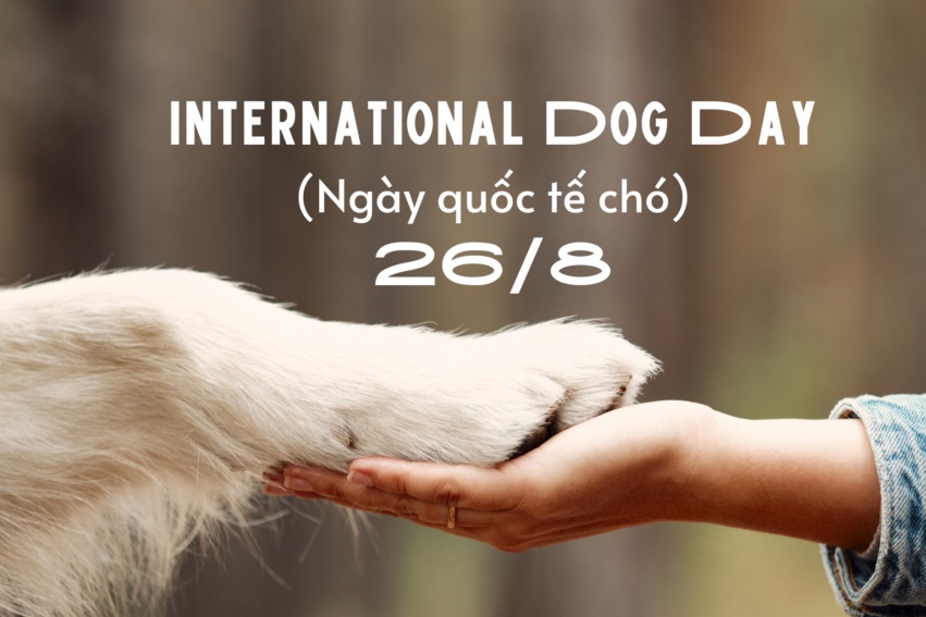 ngày quốc tế cún cưng