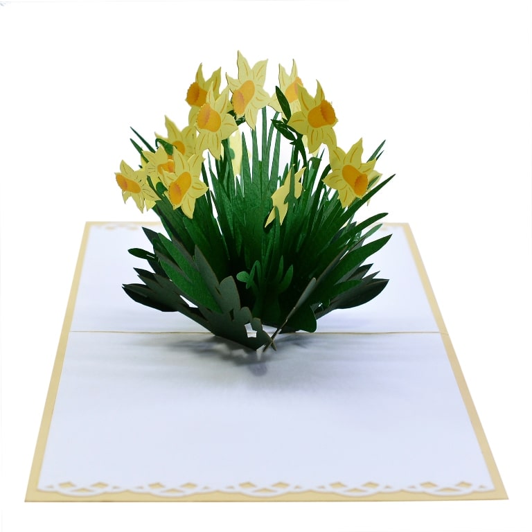 thiệp nổi 3d