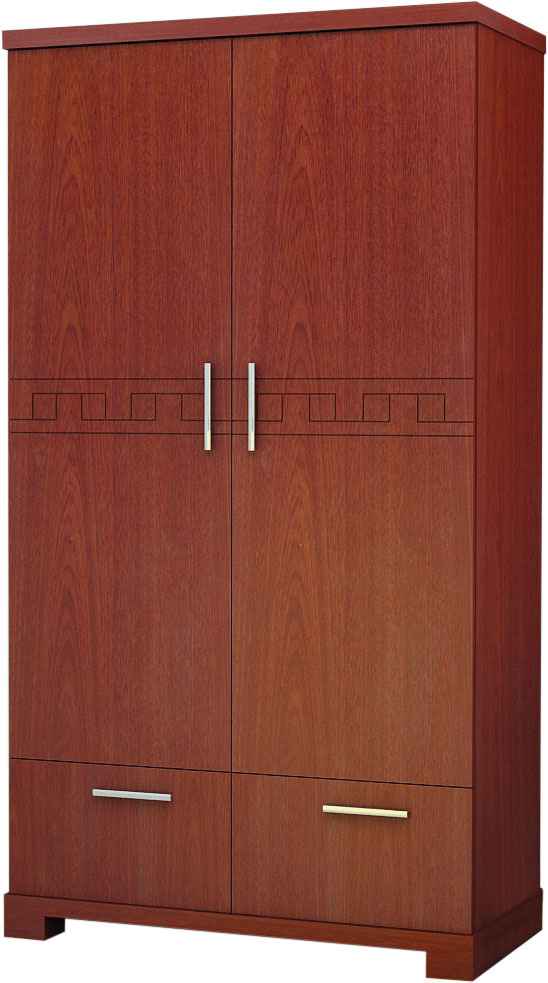 Tủ áo gia đình Hòa Phát TA2B2N