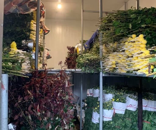 kho-lanh-bao-quan-hoa-tuoi