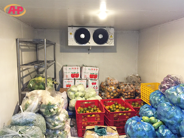 kho-lanh-bao-quan-thuc-pham-an-huy-phat