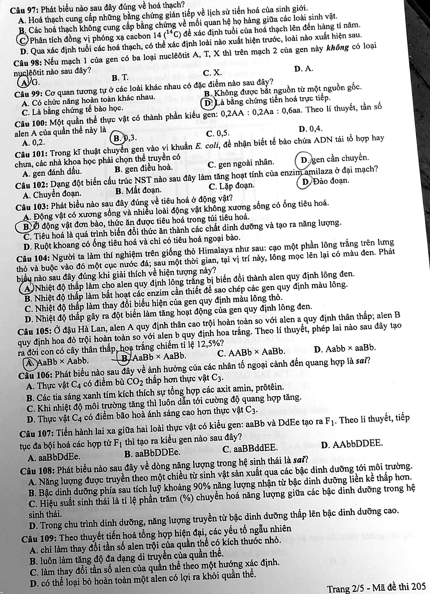 Đề thi THPT môn Sinh (mã 205) - trang 2