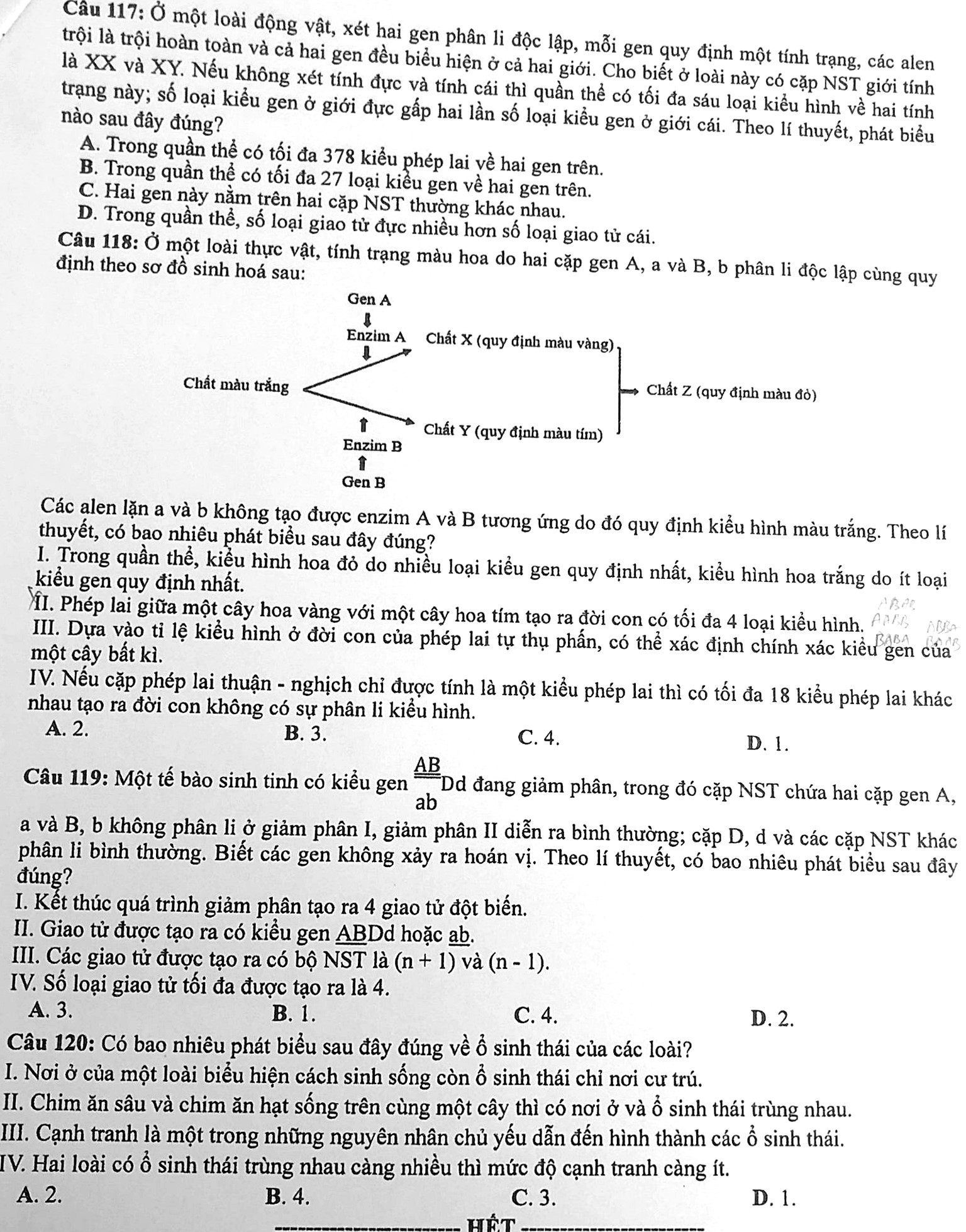 Đề thi THPT môn Sinh (mã 205) - trang 5