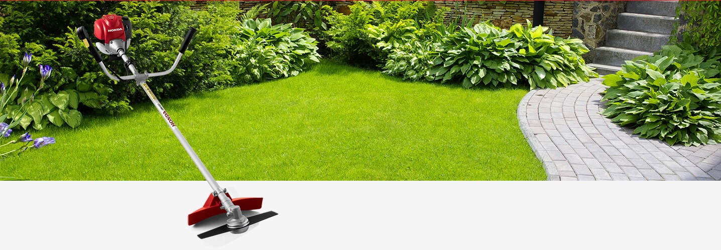 Máy cắt cỏ cầm tay