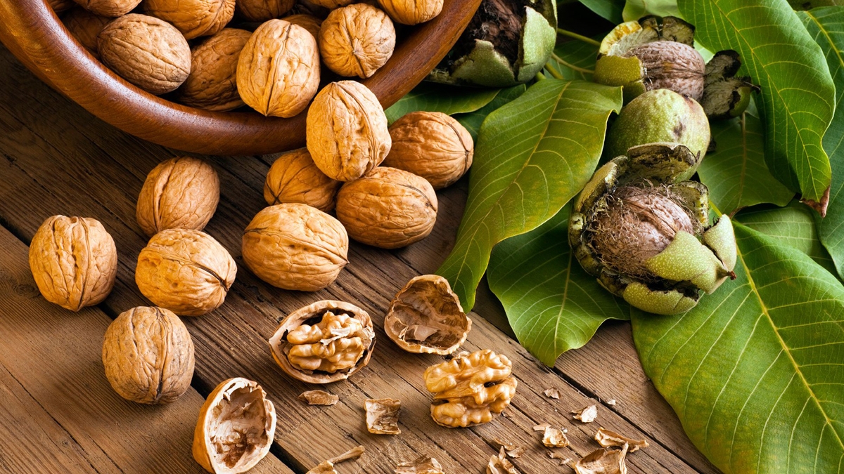 hat oc cho dinh duong