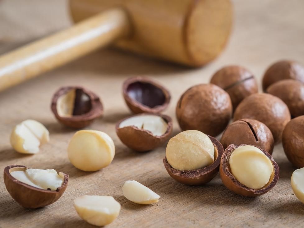 hat macca dinh duong