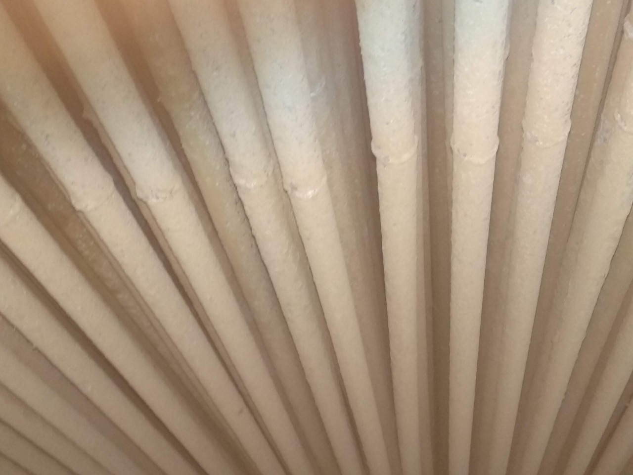 tay-cau-can-dan-ngung-tu-bay-hoi