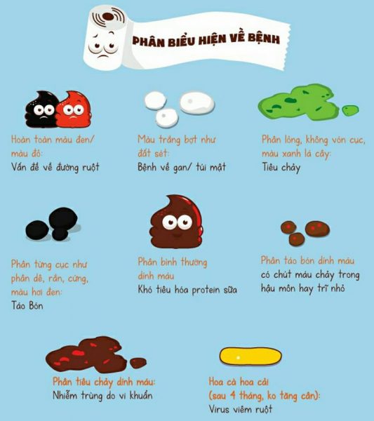 phân biệt các dạng của output