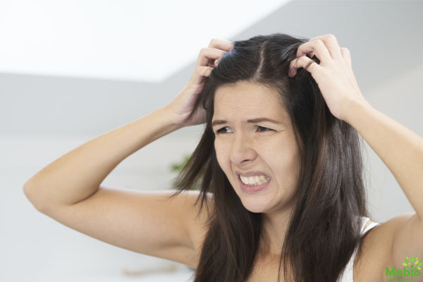 Ở cữ sau sinh cùng Momo Rabbit