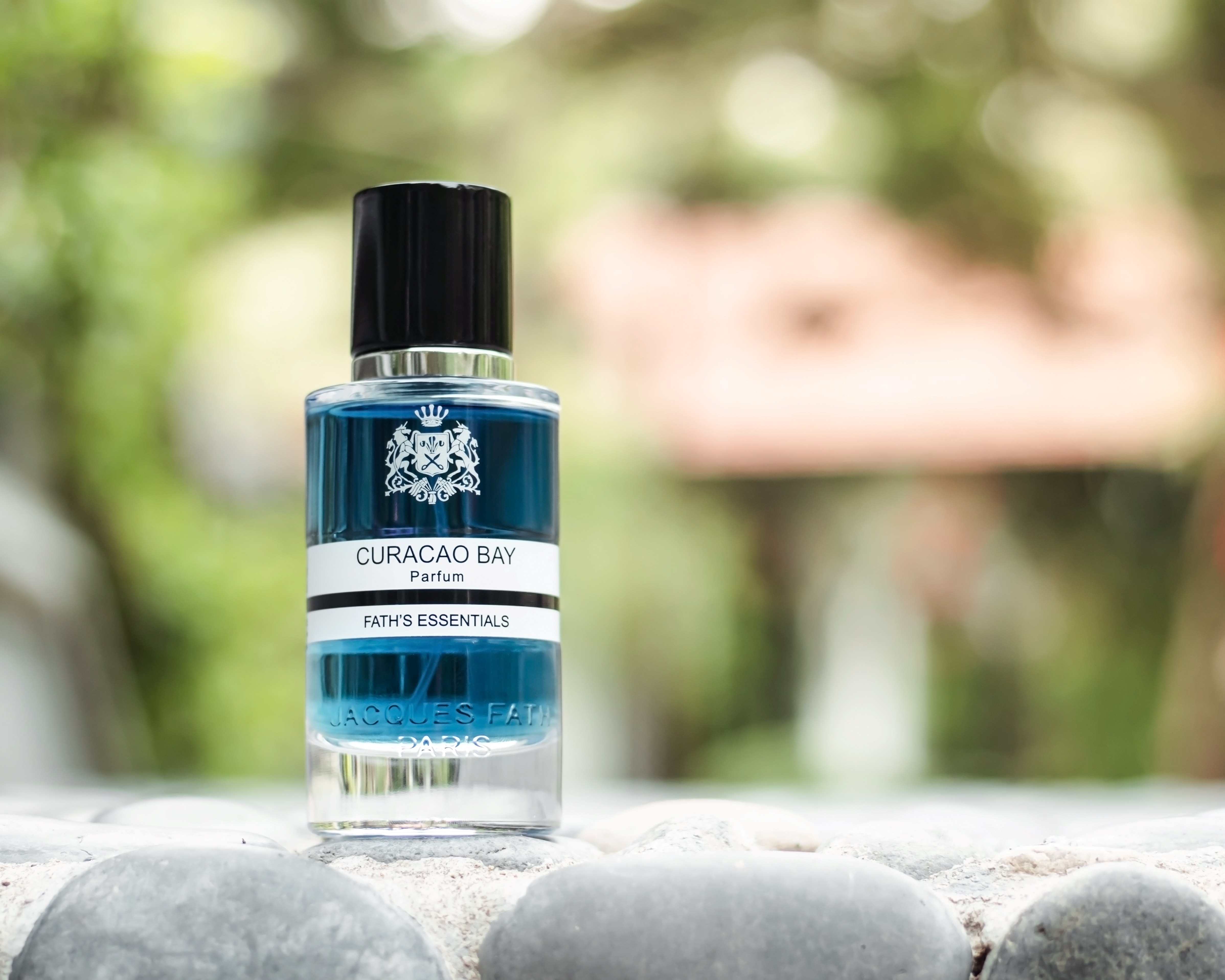 Mở Đầu Rực Rỡ – Ánh Nắng Trên Làn Sóng Biếc