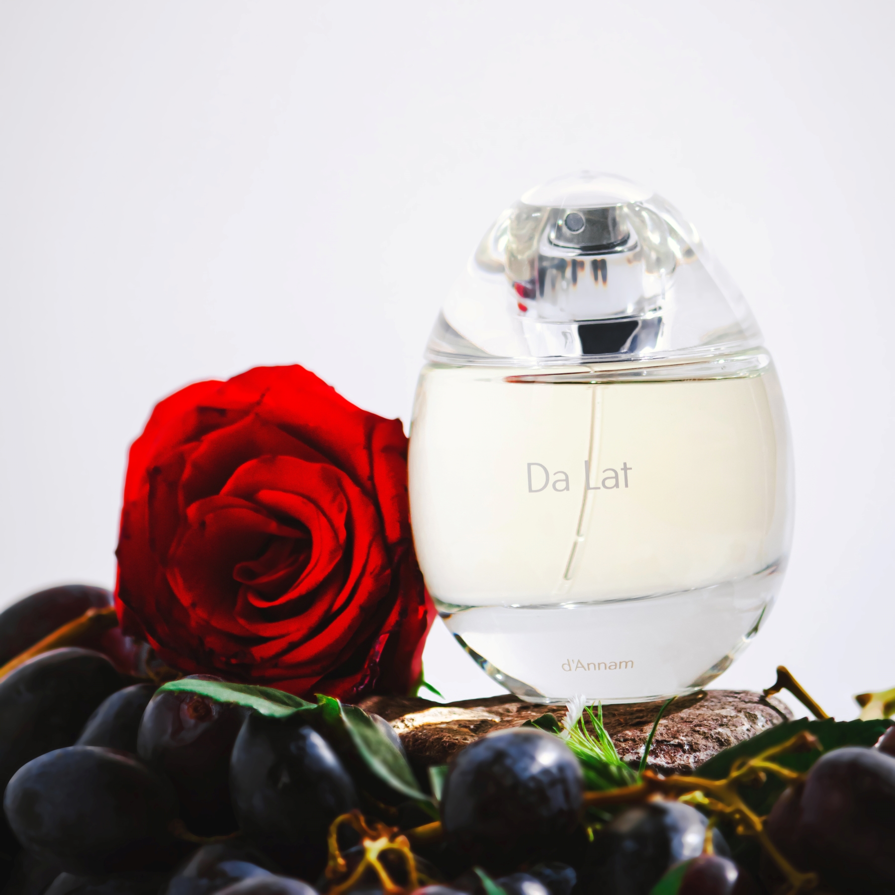 Nước hoa d’Annam Da Lat – Đà Lạt: Bản tình ca của hương hoa và khí trời cao nguyên