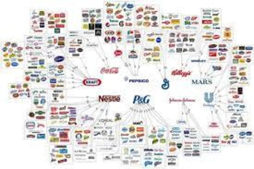 Tổng quan về ngành FMCG năm 2024