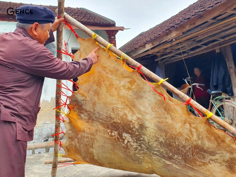 Quá trình thuộc da trâu