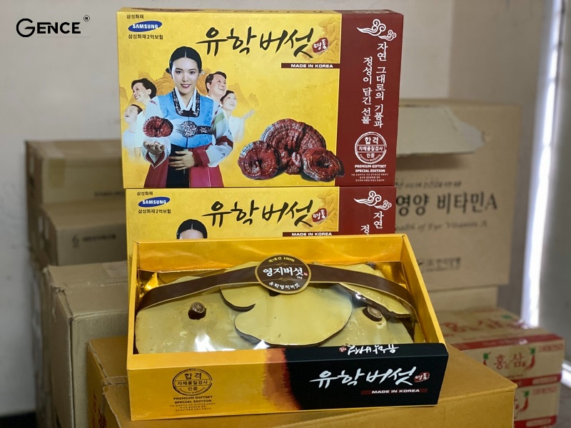 Các món đặc sản như tổ yến, nấm linh chi,...