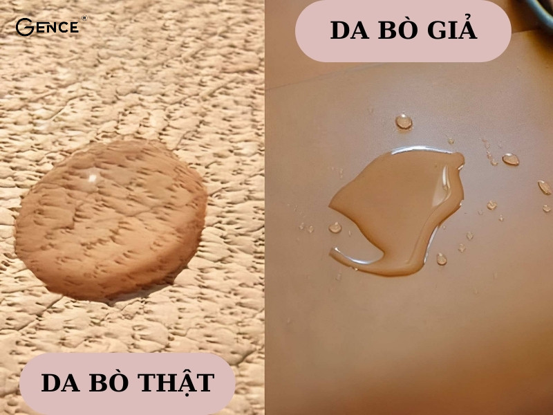 Sử dụng nước kiểm tra khả năng thấm nước của da bò thật