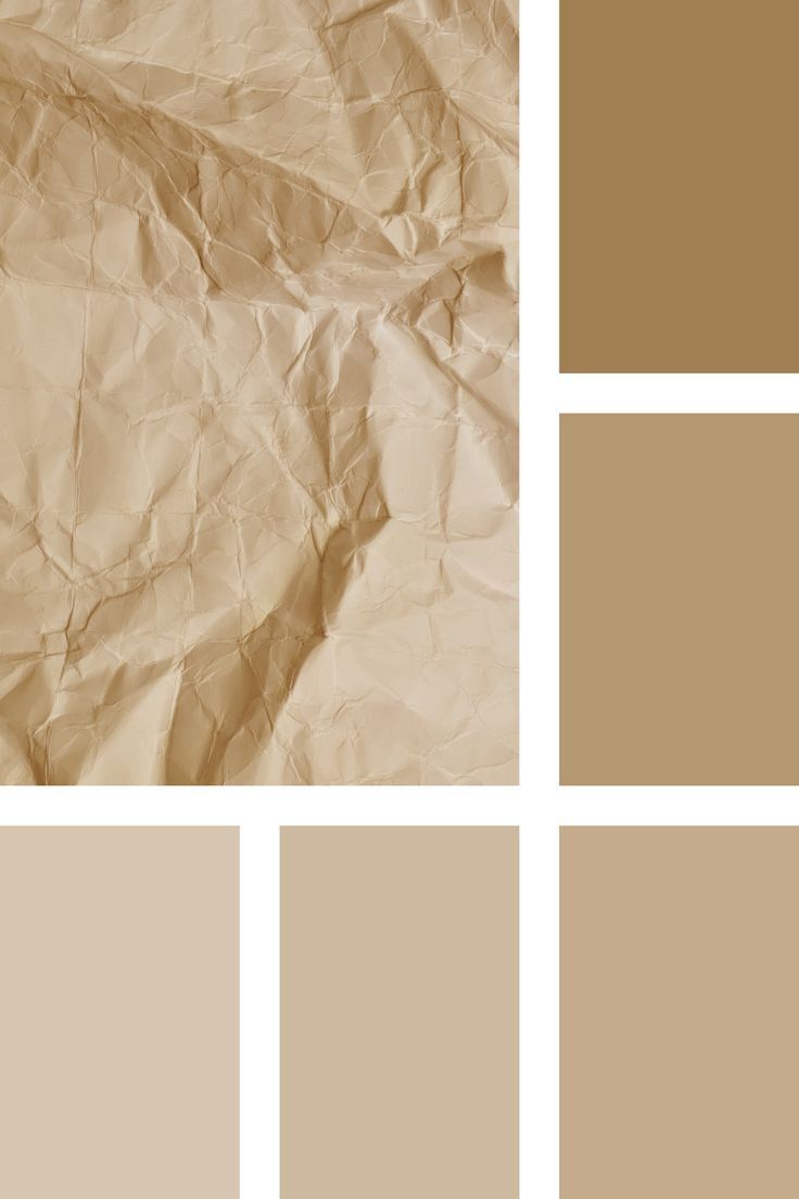 Màu ivory có nhiều sắc thái từ nhạt đến đậm