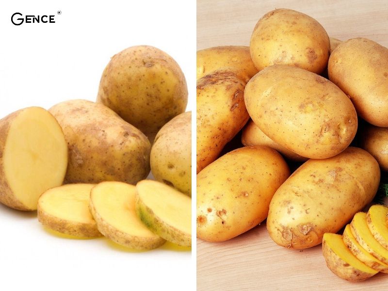 Nhựa khoai tây có nhiều công dụng với giày da