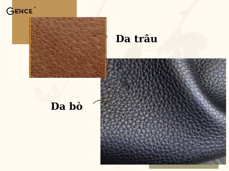 Bề mặt da trâu thô cứng hơn da bò