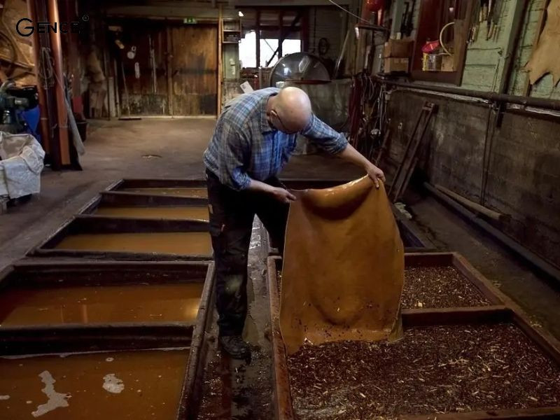 Thuộc da Shell Cordovan bằng phương pháp thực vật