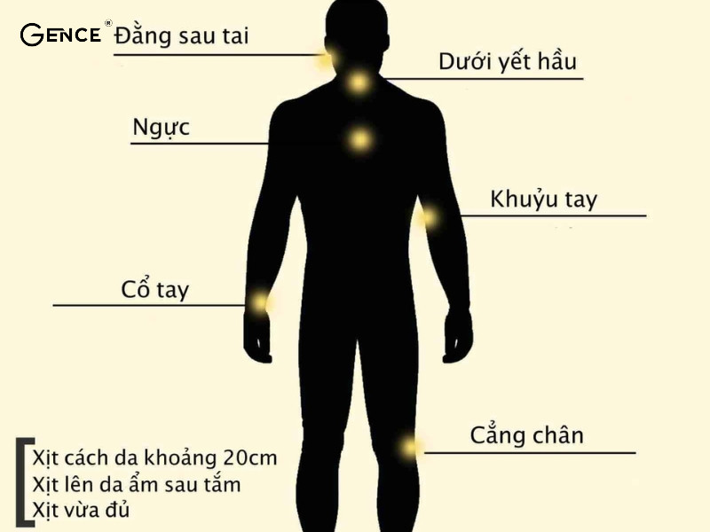 Cách sử dụng nước hoa đúng cách vào nơi chứa nhiều mạch máu