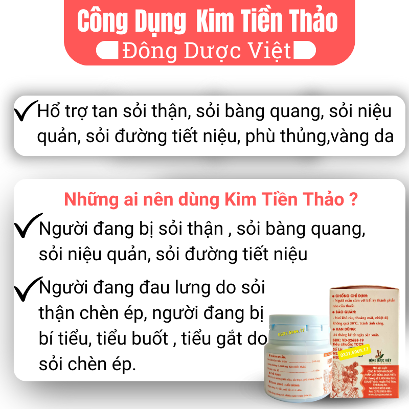 Kim tiền thảo Đông Dược Việt tan sỏi thận sỏi bàng quang