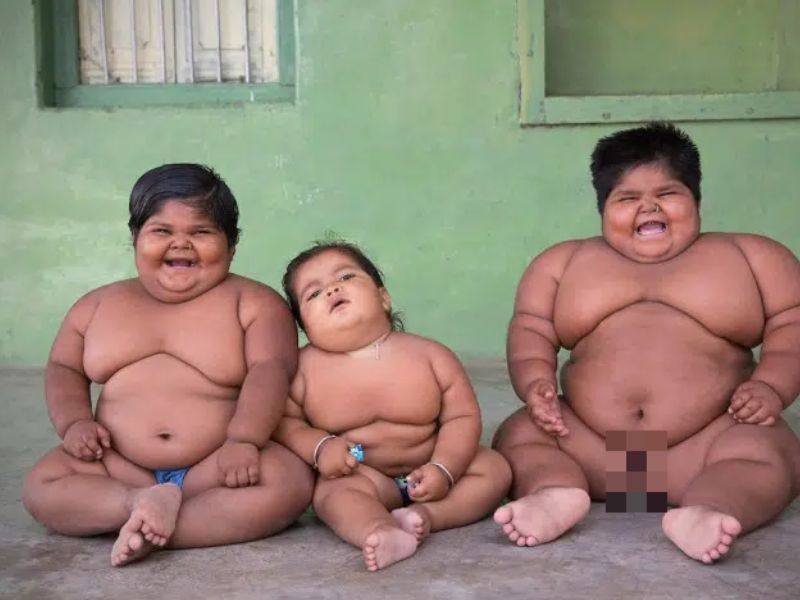 Lạm dụng thức ăn sẵn sẽ khiến con béo phì