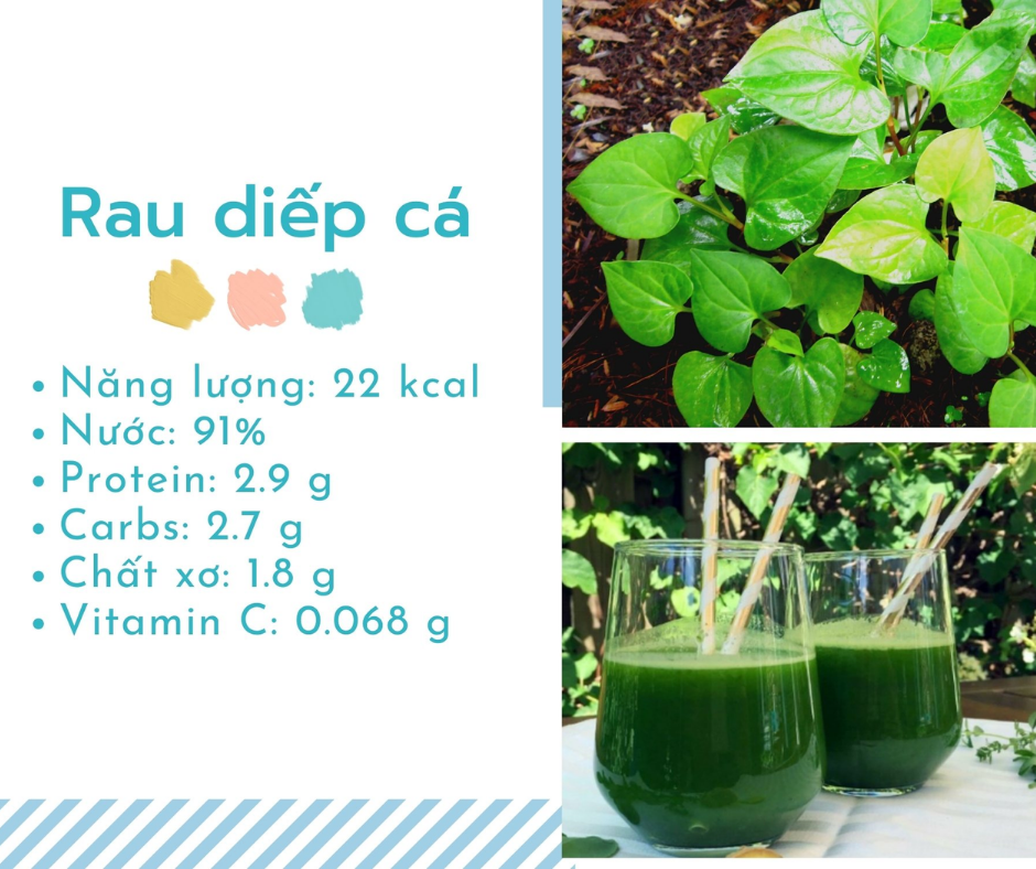 Thức ăn giảm mỡ máu - Rau diếp cá