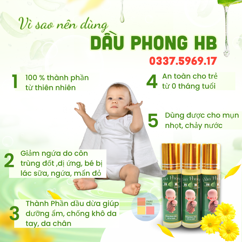 Dầu Phong hb giảm ngứa sưng do côn trùng đốt