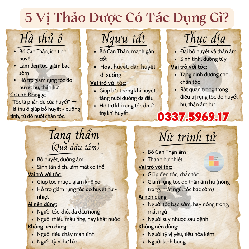 Set Thảo Dược hổ trợ rụng tóc , tóc bạc sớm có tác dụng gì