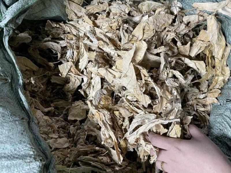 Cây và lá Hen đã phơi khô