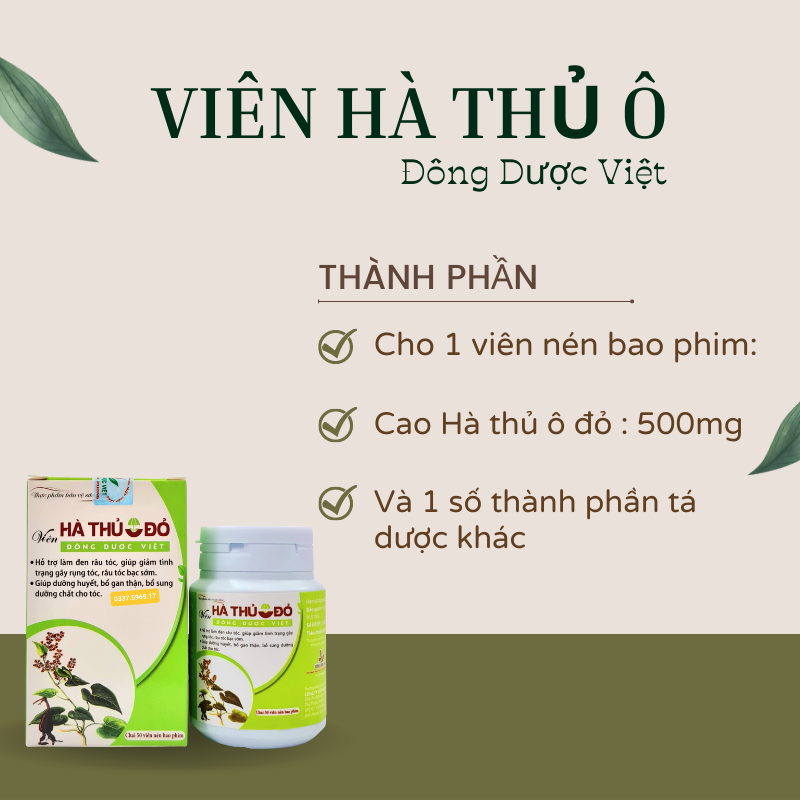 Hà thủ ô Đông Dược Việt thành phần